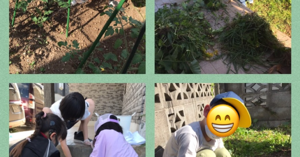 こころ畑と戸外活動♪