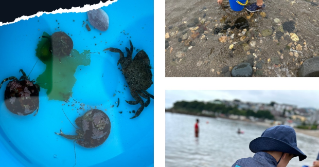 9月 少しずつ秋の気配が・・・